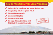 AXIT HỮU CƠ TRONG THỨC ĂN NUÔI TRỒNG THỦY SẢN – TIỀN NĂNG THAY THẾ CÁC CHẤT KHÁNG SINH