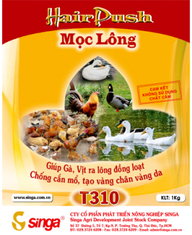 T310 - Hair push – Mọc lông