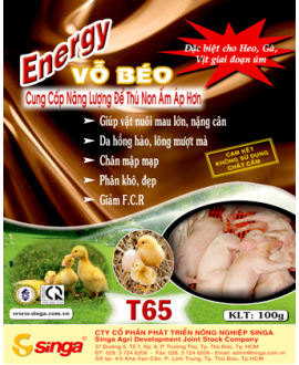 T65 - Energy – Vỗ béo