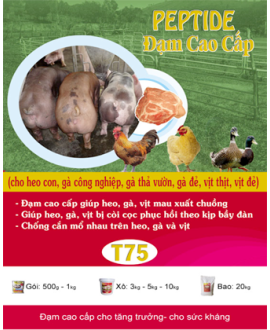 T75 - Peptide – Đạm Cao Cấp