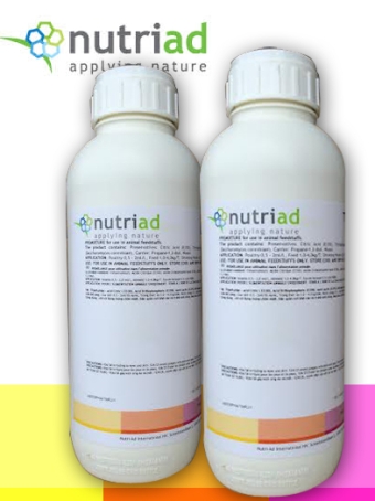 TOXY NIL PLUS LIQUID
