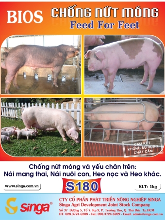 S180 - Bios - Chống nứt móng
