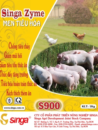 S900 - Singa Zyme - Men tiêu hóa (tỏi)
