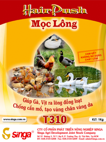 T310 - Hair push – Mọc lông
