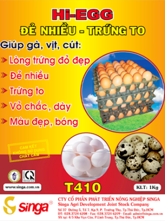 T410 - Hi-egg – Đẻ nhiều trứng to