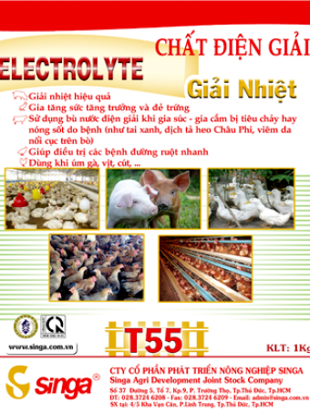T55 - Electrolyte – Chất điện giải,Giải nhiệt
