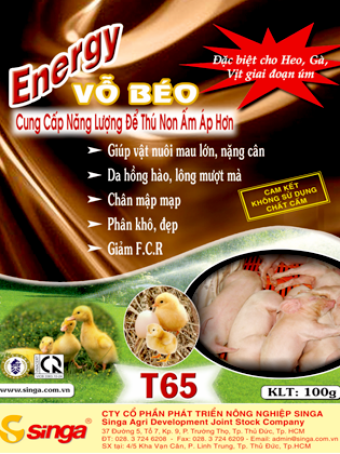 T65 - Energy – Vỗ béo
