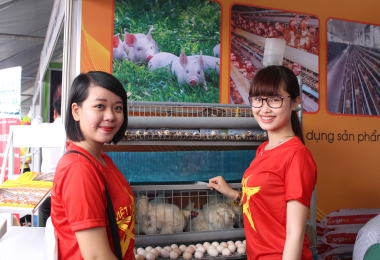 Ngày Hội Việc Làm Singa