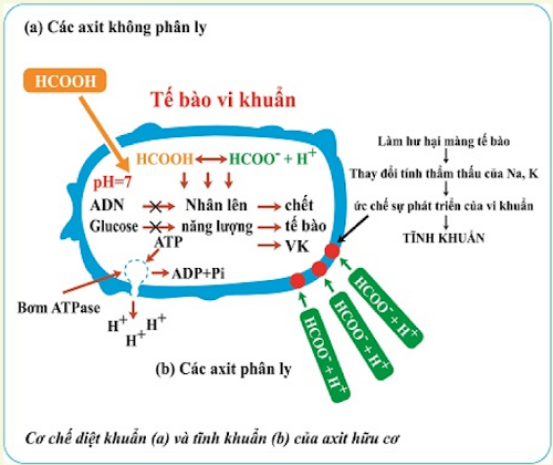 Các axit không phân ly