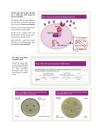 Ecobiol poultry