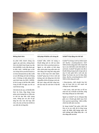 Ecobiol for Aqua