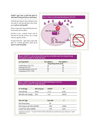 Ecobiol for Aqua