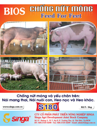 S180 - Bios - Chống nứt móng