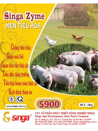 S900 - Singa Zyme - Men tiêu hóa (tỏi)