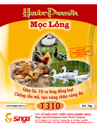 T310 - Hair push – Mọc lông