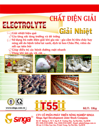 T55 - Electrolyte – Chất điện giải,Giải nhiệt