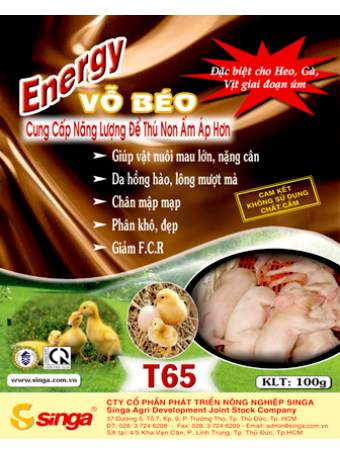 T65 - Energy – Vỗ béo