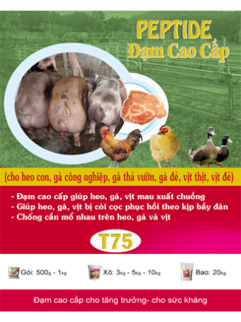 T75 - Peptide – Đạm Cao Cấp ( tan )